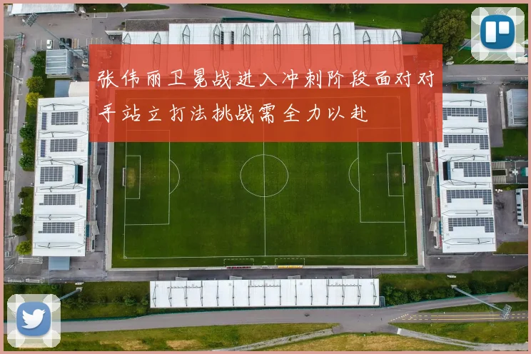 张伟丽卫冕战进入冲刺阶段面对对手站立打法挑战需全力以赴